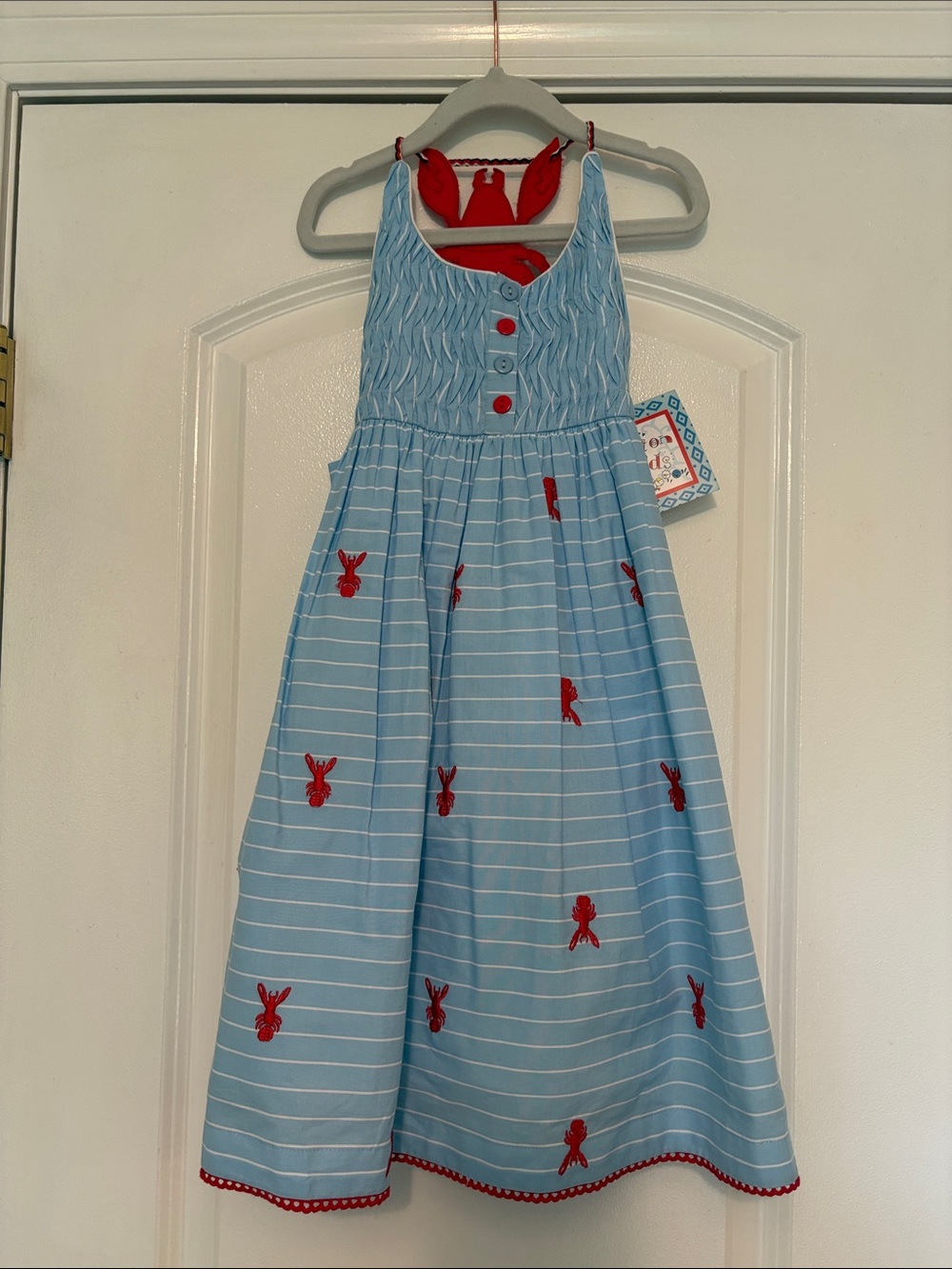 Girls' Light Blue Striped Dress with Red Embroidery